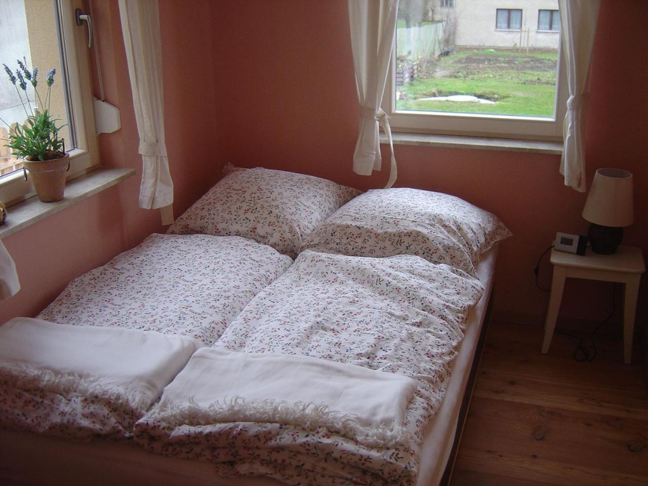 Fewo Dd- Wilschdorf Dresde Extérieur photo